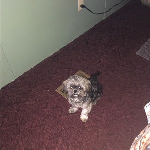 Meet your Posher, Roger